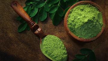 10 Amazing Benefits of Herbal Herb Organic Moringa Powder for Daily Health