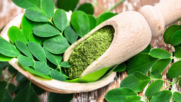 Organic vs. Regular Moringa Powder: Why Herbal Herb’s Organic Matters