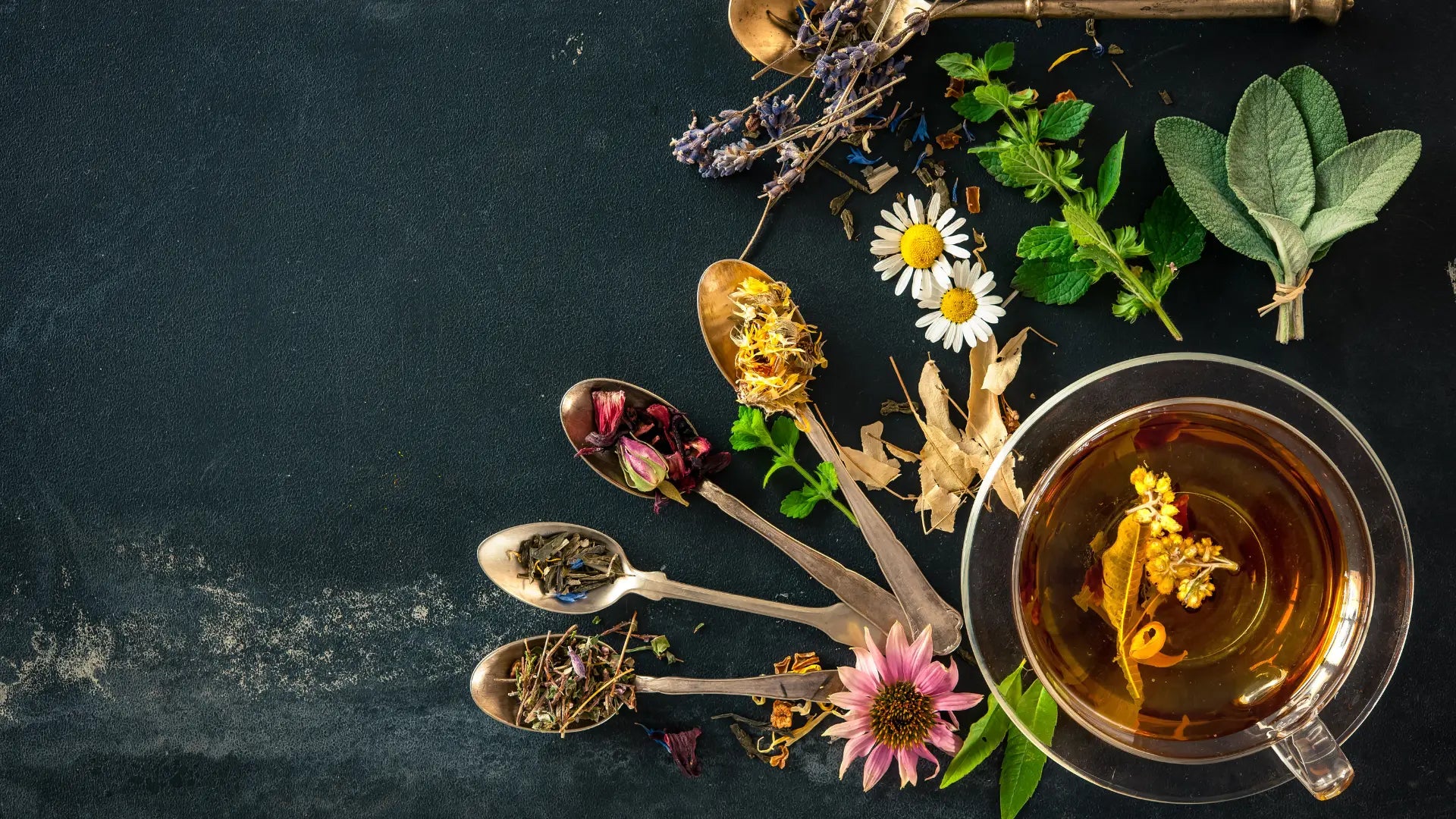How to Spot Authentic Herbal Supplements: A Deep Dive by Herbal Herb