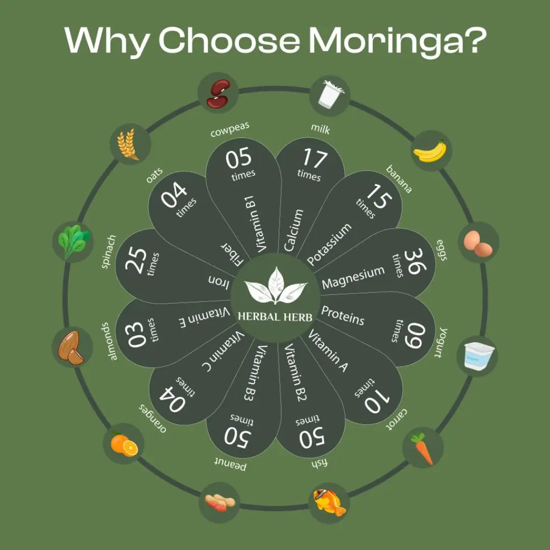 Diagram titled 'Why Choose Moringa?' showing nutritional benefits with icons and numbers on a green background.
